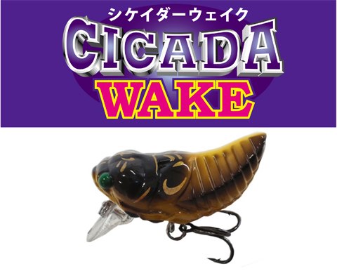 TIEMCO LURES Cicada Jumbo (Floating)