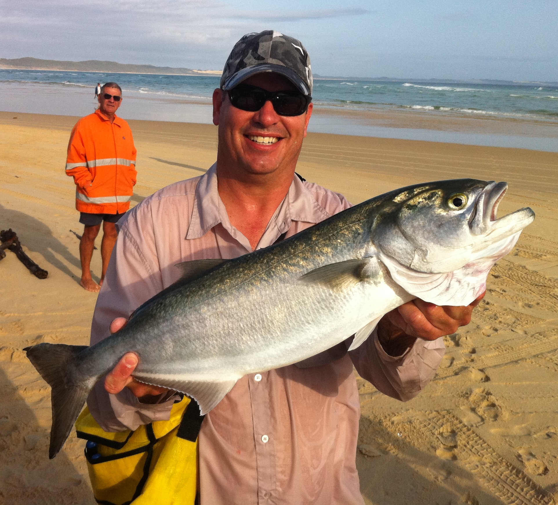 The BEST Fishing Bait in Sunshine Coast QLD