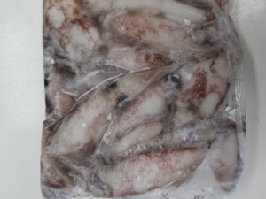 Fresh Local Squid fish Bait