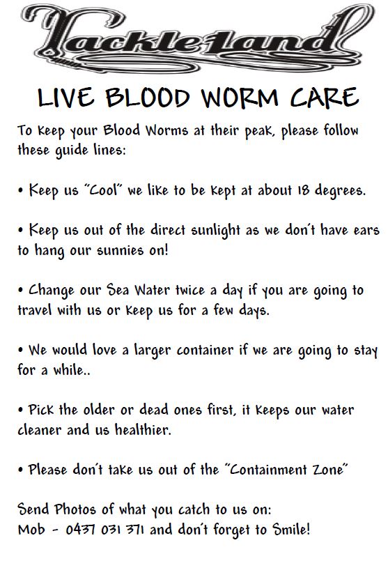 Live-Blood-Worm-Care - Tackle Land